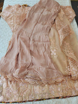 Pakistani Stitched Embroidery Party Wear Dresses Ready To Ship