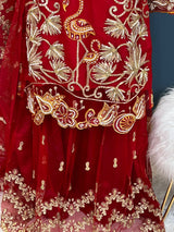 Pakistani Embroidered Party wear  Ready To Ship