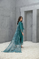 Amber By Tawakkal Collection 100% Original