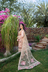 Nairang-e-Khayal By Tawakkal 100% Original Ready To Ship