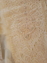 Pakistani Stitched Embroidery Party Wear Dresses Ready To Ship