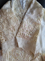 Pakistani Stitched Embroidery Party Wear Dresses Ready To Ship