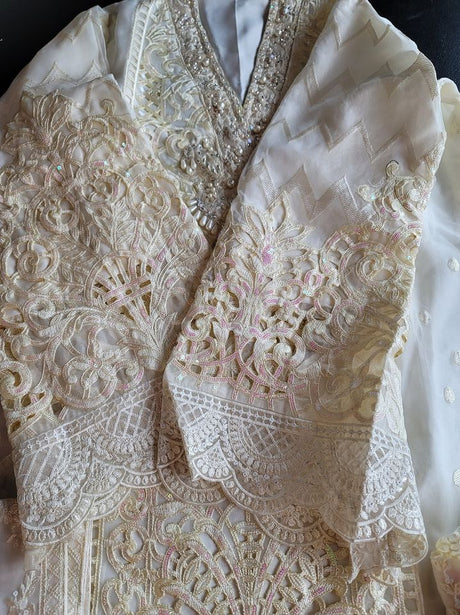 Pakistani Stitched Embroidery Party Wear Dresses Ready To Ship
