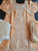 Pakistani Stitched Embroidery Lawn Suit Ready To Ship