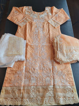 Pakistani Stitched Embroidery Lawn Suit Ready To Ship