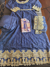 Pakistani Stitched Embroidery Party Wear Dresses Ready To Ship