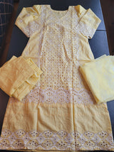 Indian Cotton Stitched Embroidery Suit Ready To Ship