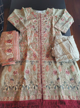 Pakistani Stitched Embroidery Party Wear Dresses Ready To Ship