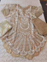 Pakistani Stitched Embroidery Party Wear Dresses Ready To Ship