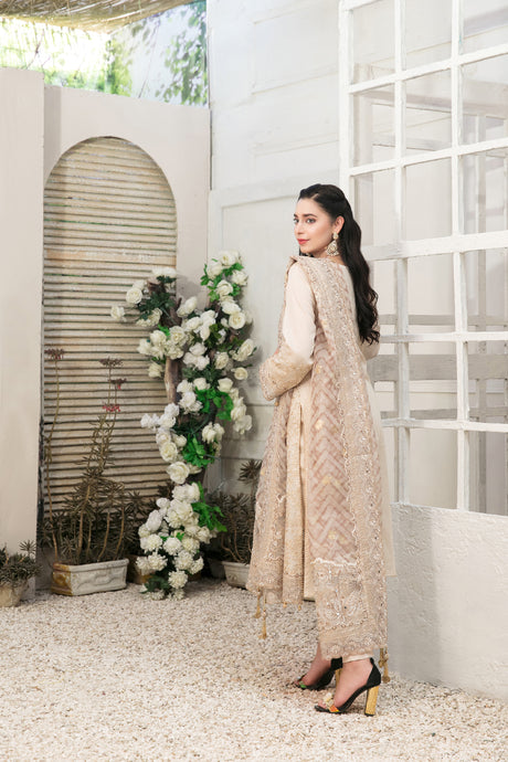 Aanchal by Tawakkal Collection 100% Original