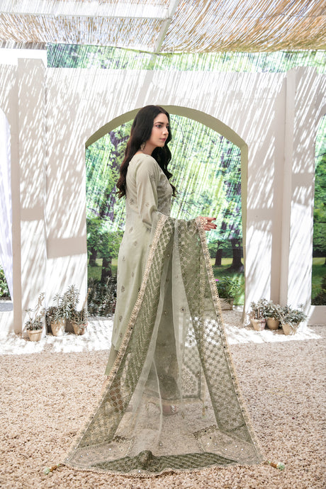 Aanchal by Tawakkal Collection 100% Original