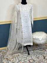 Pakistani Stitched Luxury Embroidered lawn Salwar kameez ready to ship