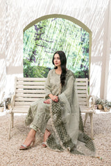 Aanchal by Tawakkal Collection 100% Original