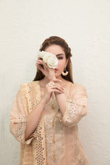 Nigah-E-Shoq by Tawakkal Collection 100% Original Ready To Ship