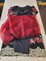 Pakistani Embroidered Party wear  Ready To Ship