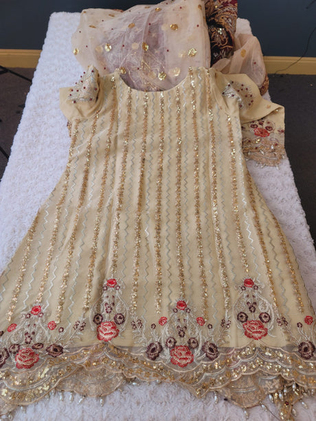 Pakistani Stitched Embroidery Party Wear Dresses Ready To Ship