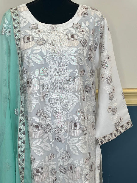 Pakistani Embroidered Party wear Ready To Ship