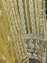 Pakistani Embroidered Party wear  Ready To Ship