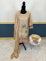 Pakistani Embroidered Party wear  Ready To Ship