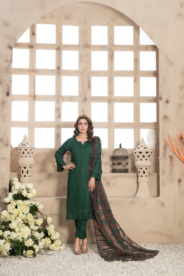 Noor Saba by Tawakkal  100% Original Ready To Ship