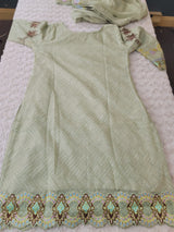 Pakistani Embroidered Party wear  Ready To Ship