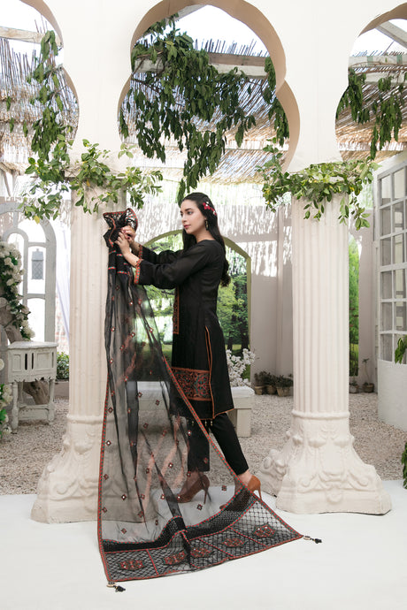 Aanchal by Tawakkal Collection 100% Original