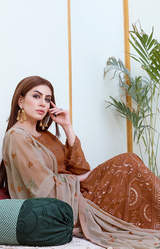 New Fancy Chiffon Collection 2022