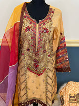 Pakistani Embroidered Party wear  Ready To Ship