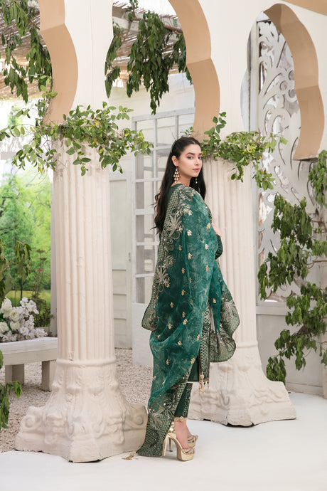 Aanchal by Tawakkal Collection 100% Original