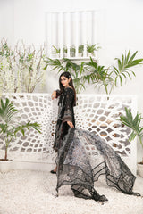 Nashmia By Tawakkal Collection 100% Original