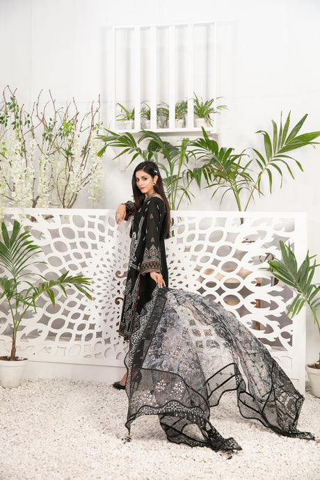 Nashmia By Tawakkal Collection 100% Original