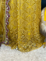 Pakistani Embroidered Party wear  Ready To Ship