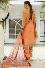 Maryam's Chiffon Embroidered Collection