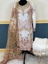 Pakistani Embroidered Party wear  Ready To Ship