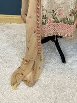 Pakistani Embroidered Party wear  Ready To Ship