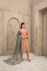Zylah By Tawakkal Collection 100% Original