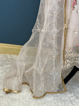 Pakistani Embroidered Party wear  Ready To Ship