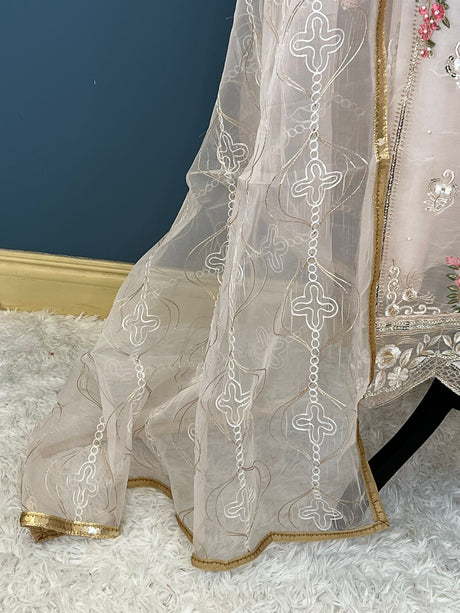 Pakistani Embroidered Party wear  Ready To Ship