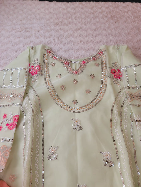 Pakistani Embroidered Party wear  Ready To Ship