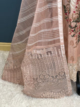 Pakistani Embroidered Party wear  Ready To Ship