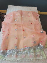 Pakistani Embroidered Party wear  Ready To Ship