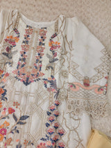 Pakistani Stitched Embroidery Party Wear Dresses Ready To Ship