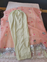 Pakistani Embroidered Party wear  Ready To Ship