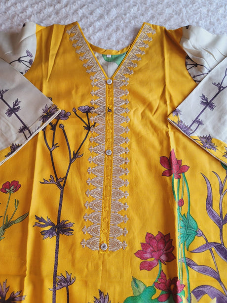 Pakistani Linen Embroidered Salwar kameez Ready To Ship