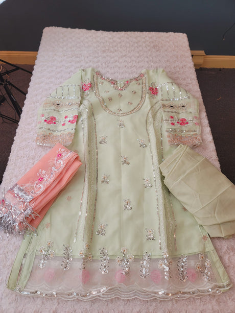 Pakistani Embroidered Party wear  Ready To Ship