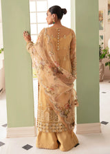 La Fuchsia By Afrozeh Embroidered Chiffon Suits