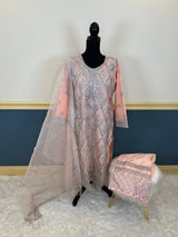 Pakistani Embroidered Party wear  Ready To Ship