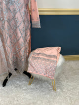 Pakistani Embroidered Party wear  Ready To Ship