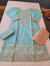 Pakistani Embroidered Party wear  Ready To Ship