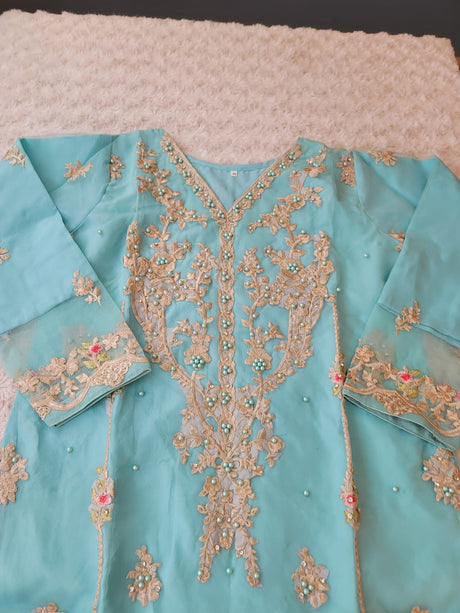 Pakistani Embroidered Party wear  Ready To Ship